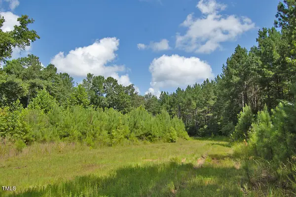 0 Buckhorn Road, Bullock, NC 27507