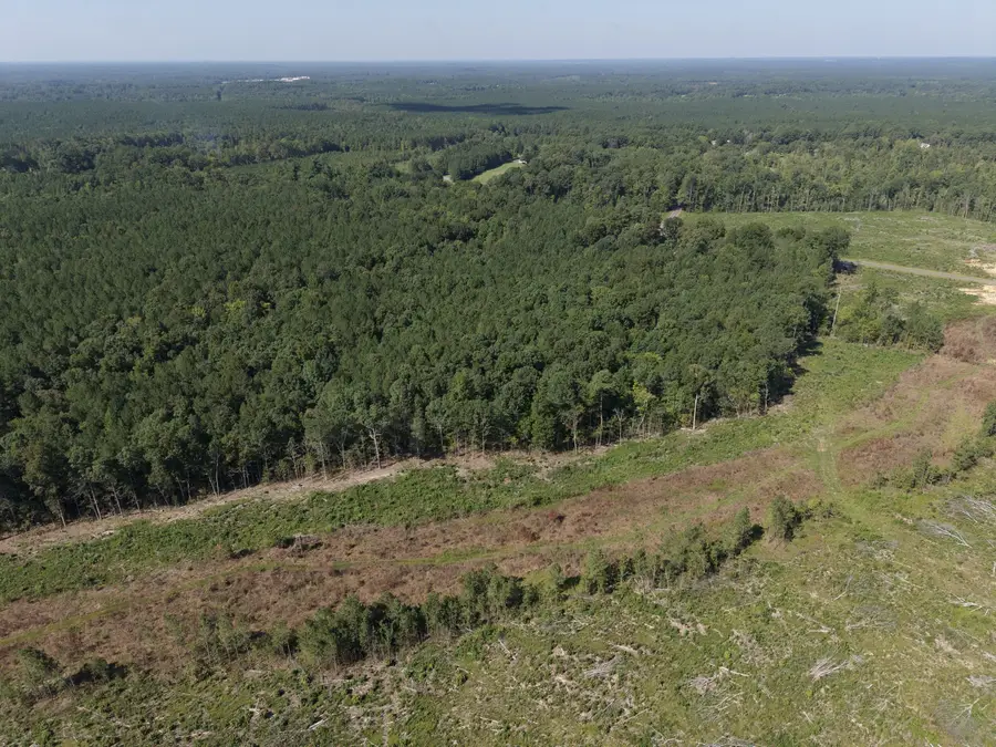 1941 Walter Bright Road Road, Sanford, NC 27330 - #2