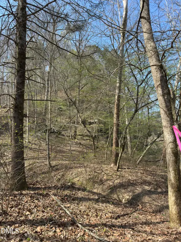 00 Seven Island Road, Danbury, NC 27016