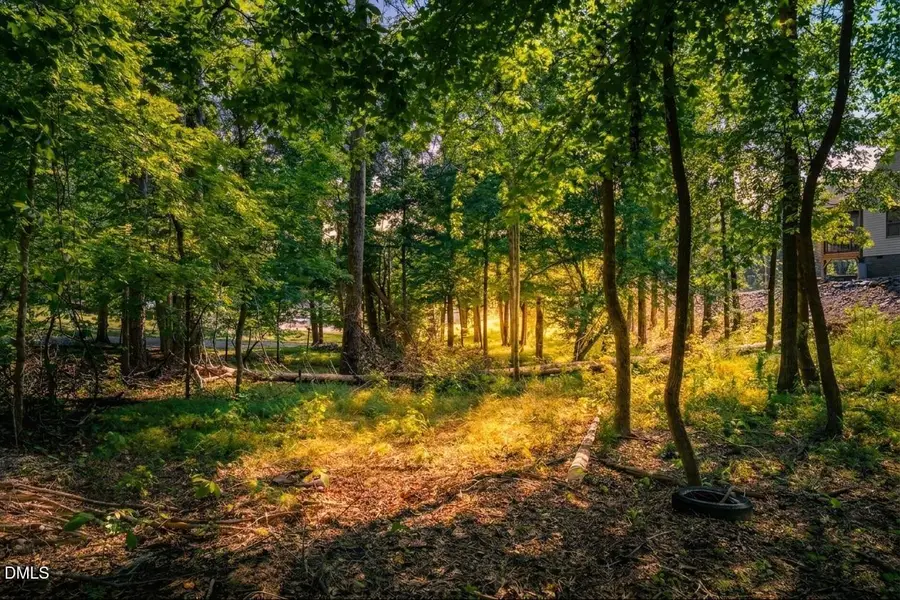 Lot 4 Wild Turkey Drive, Semora, NC 27343 - #3