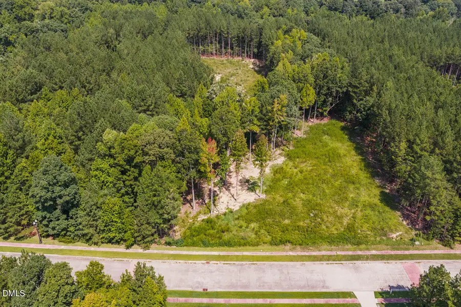 185 Larkington Drive, Siler City, NC 27344 - #2