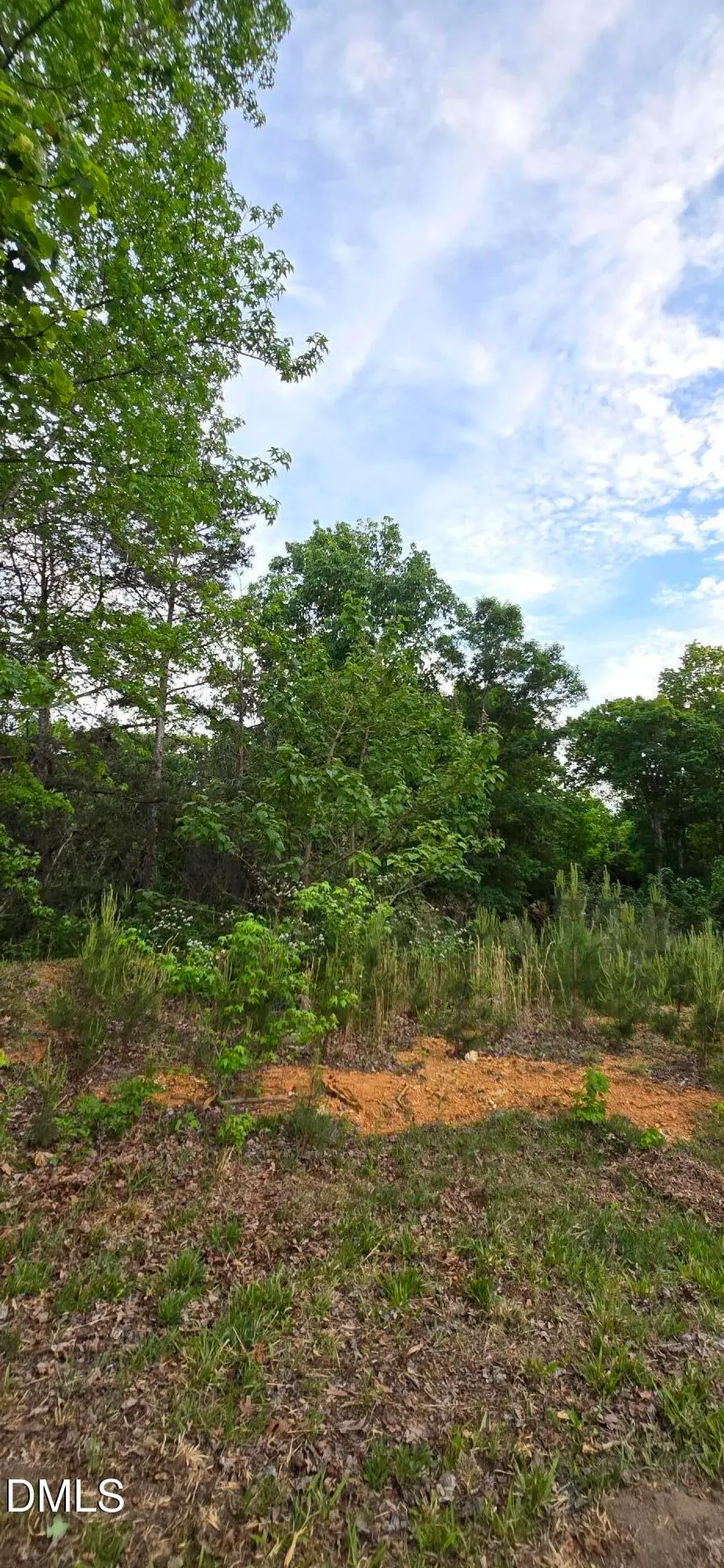 6530 Treetop Court, Snow Camp, NC 27349 - #1