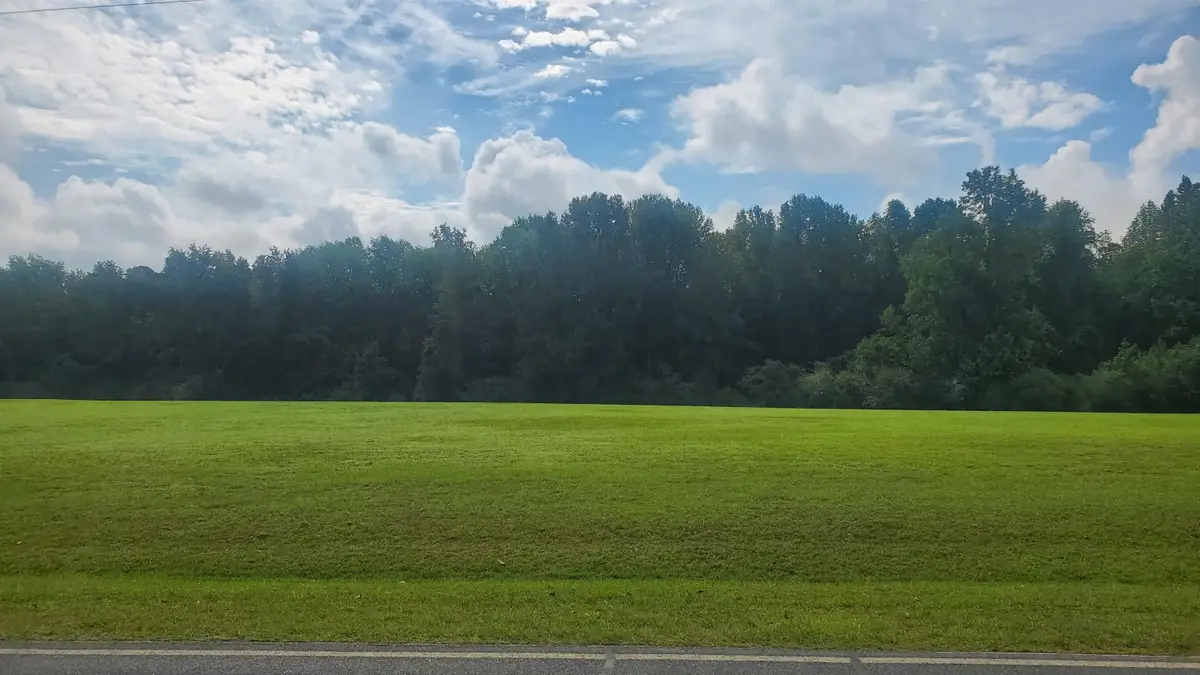 150 Ebenezer Church Road, Coats, NC 27521 - #1