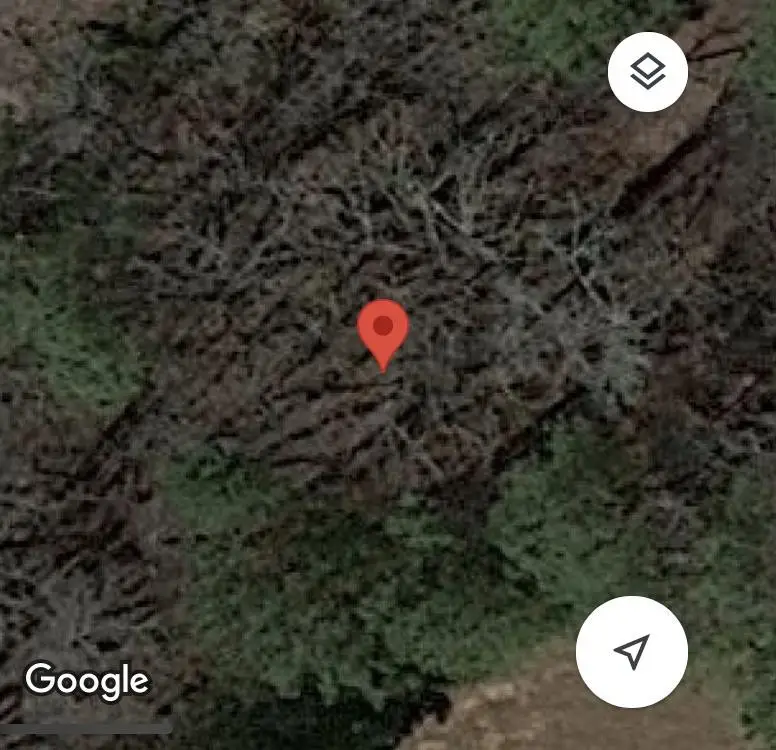 0 University Station Road, Chapel Hill, NC 27514 - #2