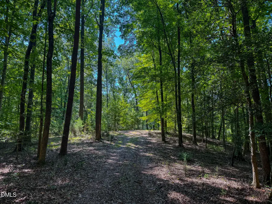4.54 Acres Rassie Crabtree Road, Rougemont, NC 27572 - #2