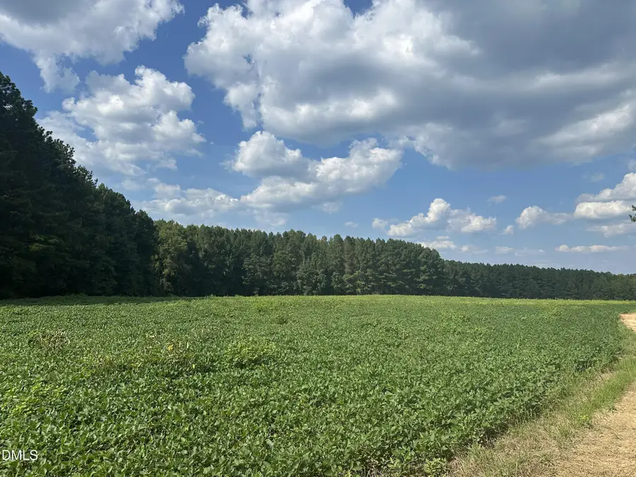 6056 Hobgood Road, Rougemont, NC 27572 - #3