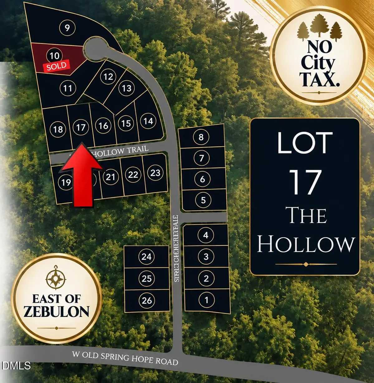 Lot 17 Fern Hollow Trail, Spring Hope, NC 27882 - #1