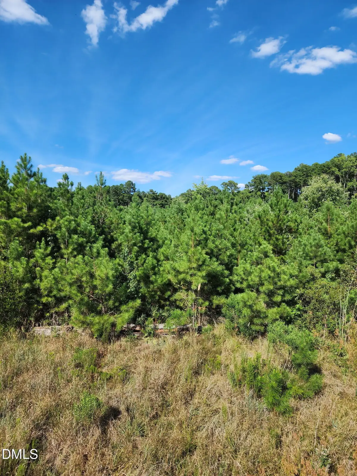 0 Ten Ten Road, Apex, NC 27539 - #1
