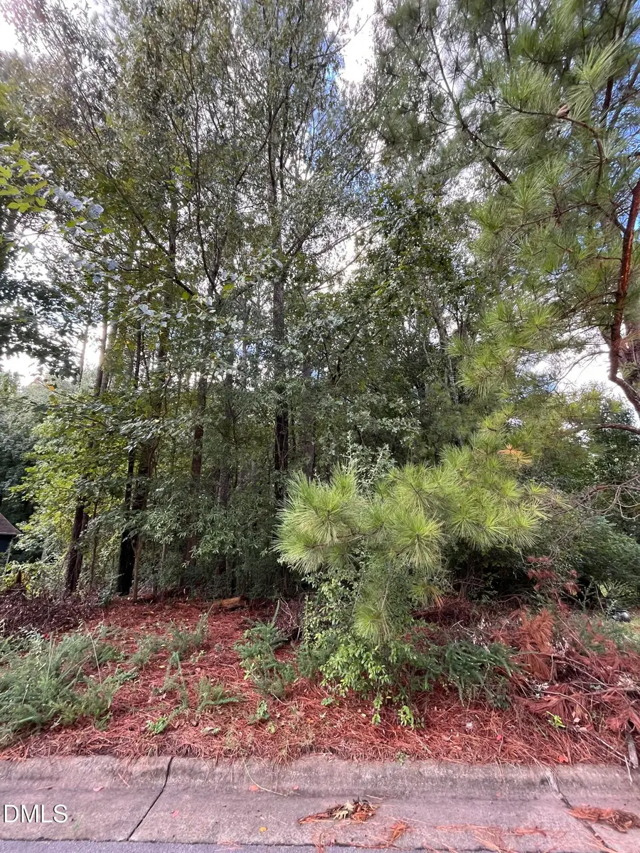 1318 Elmira Avenue, Durham, NC 27707 - #3