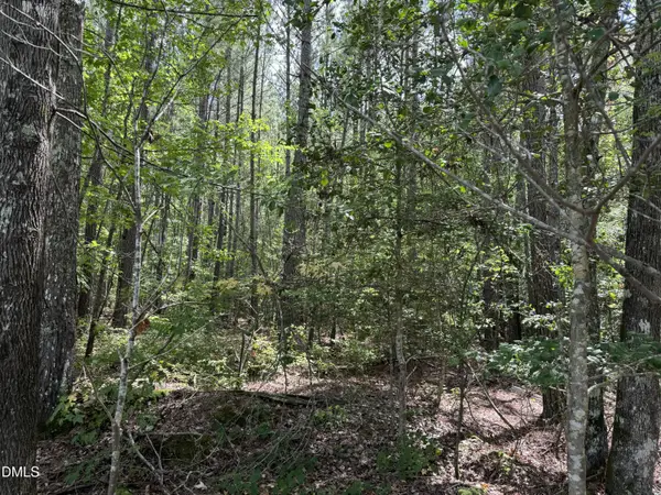 0 New Elam Church Road, Moncure, NC 27559