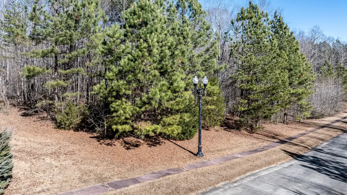 49 Larkington Drive, Siler City, NC 27344 - #1