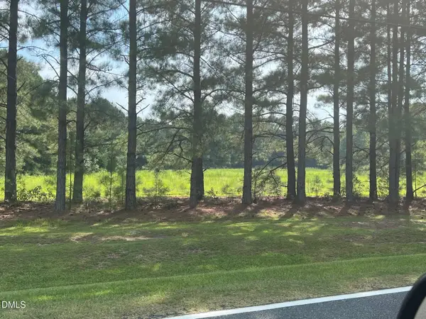 3427 Matthews Mill Pond Road, Angier, NC 27501