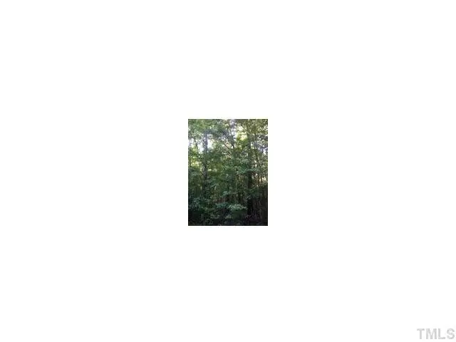 120 Rustler Road, Louisburg, NC 27549 - #2