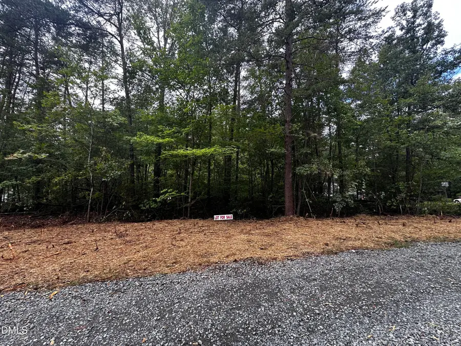 Lot 46 Green Pine Road, Cedar Grove, NC 27231 - #3