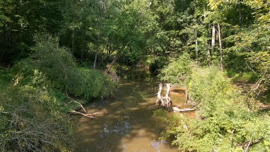 Lot 2 Boogaboo Trail, Rougemont, NC 27572 - #2