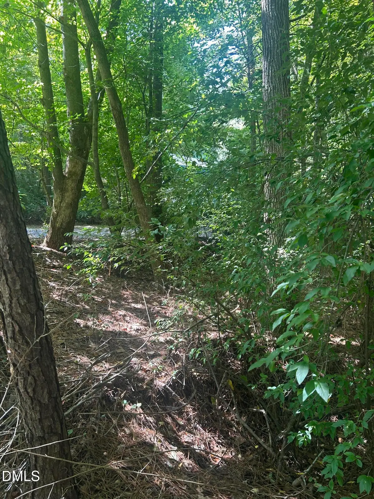 1317 Pine Trail, Clayton, NC 27520 - #1