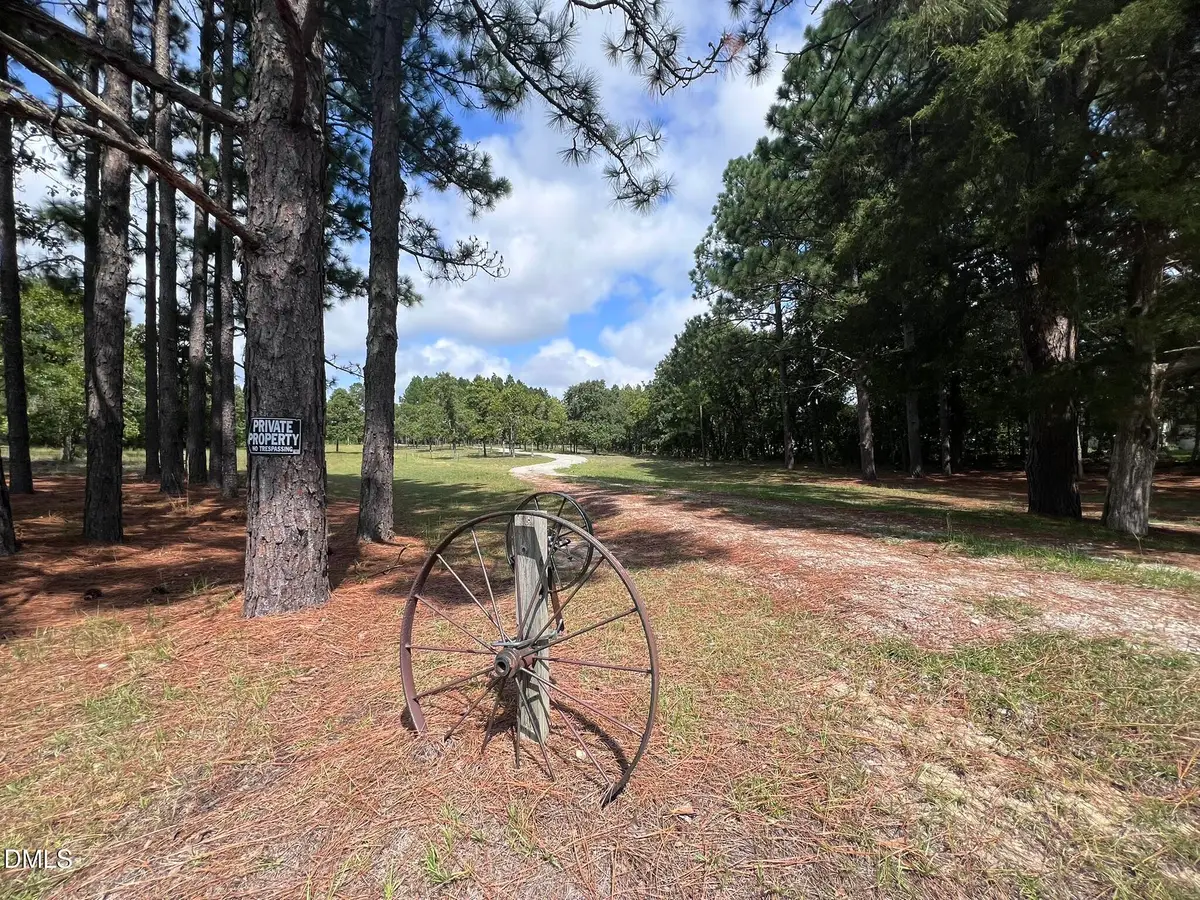 471 Kramer Road, Lillington, NC 27546 - #1