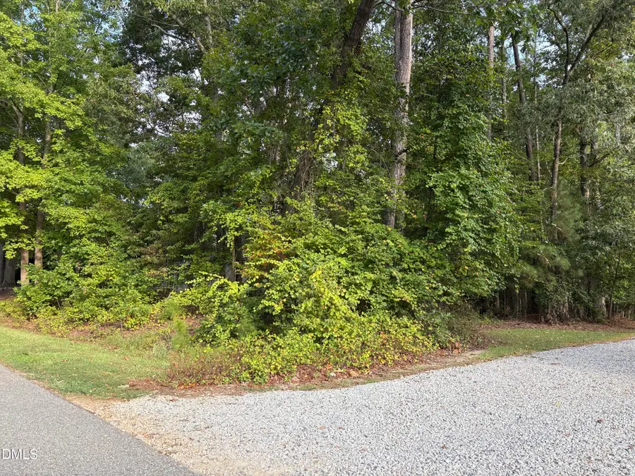 115 Blackfoot Drive, Louisburg, NC 27549 - #3