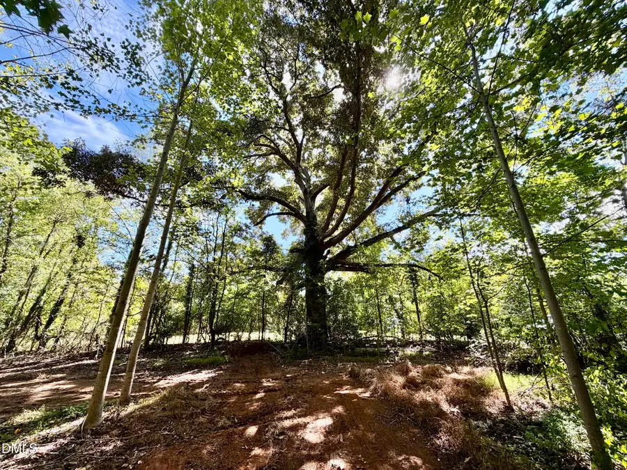 3.97 Acres Woodsdale Road, Roxboro, NC 27573 - #2