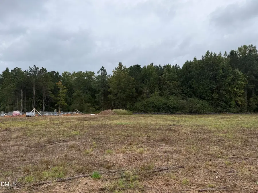 4004 Kingcraig Lane, Zebulon, NC 27597 - #2