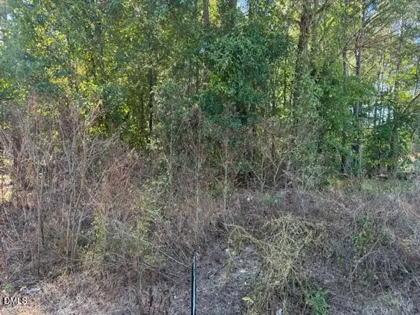 644 Caulton Brown Road, Lillington, NC 27546