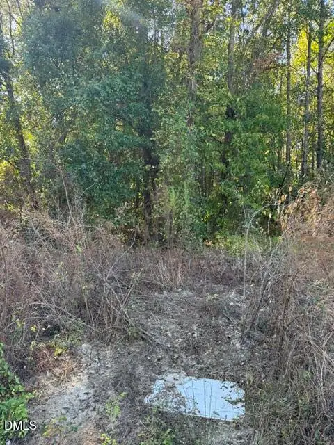 644 Caulton Brown Road, Lillington, NC 27546 - #2