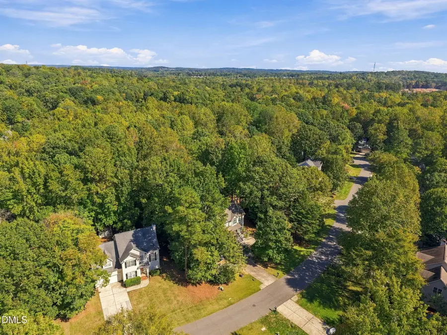 319 County Seat Drive, Hillsborough, NC 27278 - #3