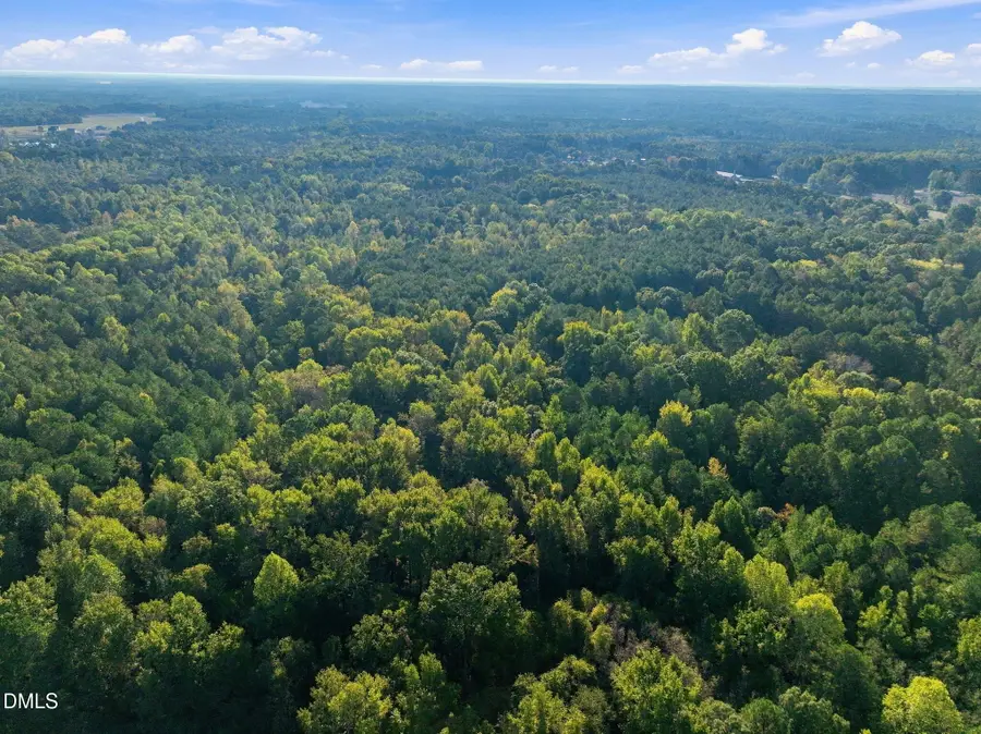 300 Mount Olive Church Road, Lillington, NC 27546 - #3