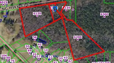 6120 E Carolina 42, Selma, NC 27576 - #1