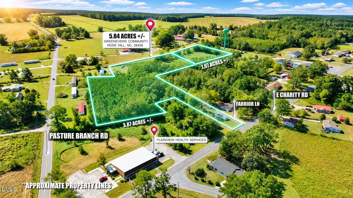 107 Farrior Lane, Rose Hill, NC 28458 - #1