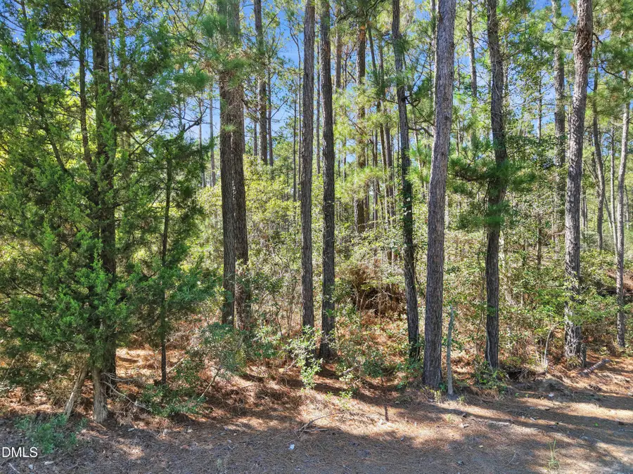 719 Russtown Road, Ocean Isle Beach, NC 28469 - #3