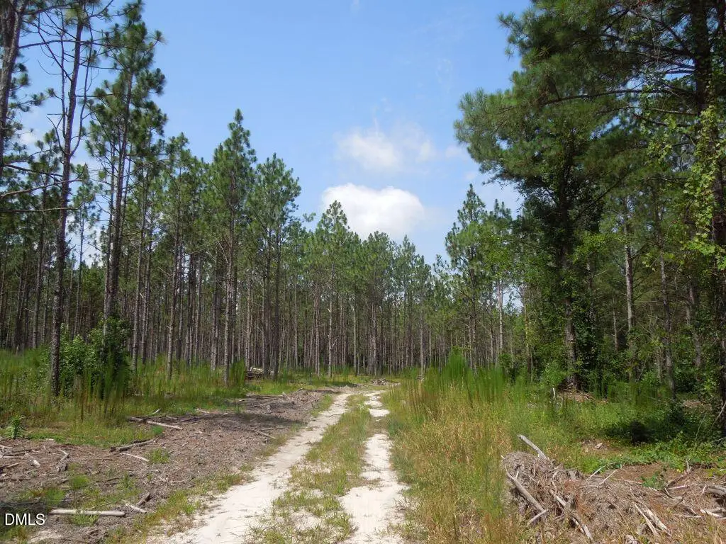 Tbd Nursery Road, Spring Lake, NC 28390 - #1