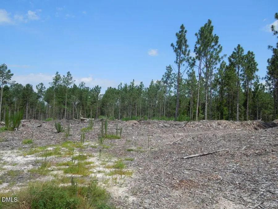 Tbd Nursery Road, Spring Lake, NC 28390 - #3