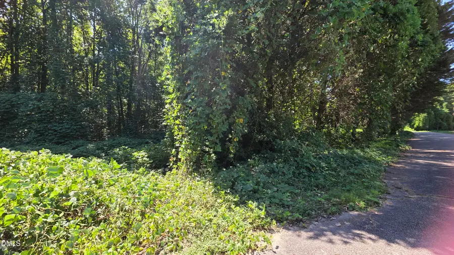 58.2 Acres Mitchell Avenue, Franklinton, NC 27525 - #2