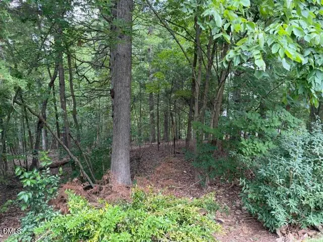 102 Jolyn Place, Chapel Hill, NC 27517 - #2