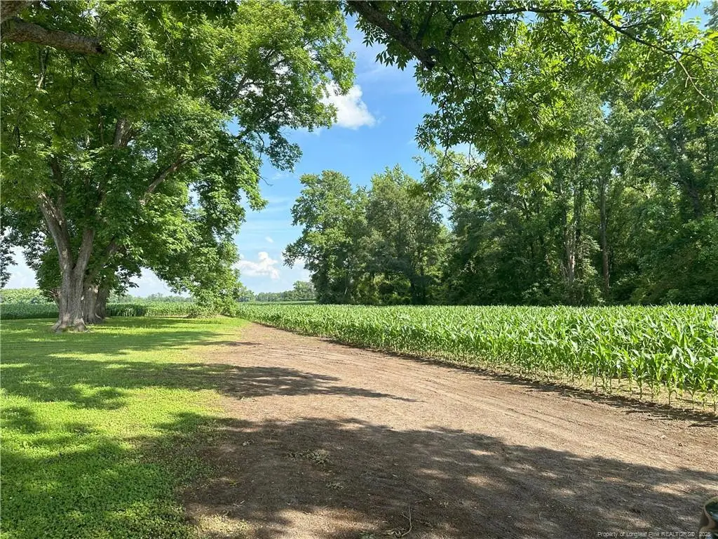 Lot A Pleasant Hope Road, Lumberton, NC 28340 - Image #1