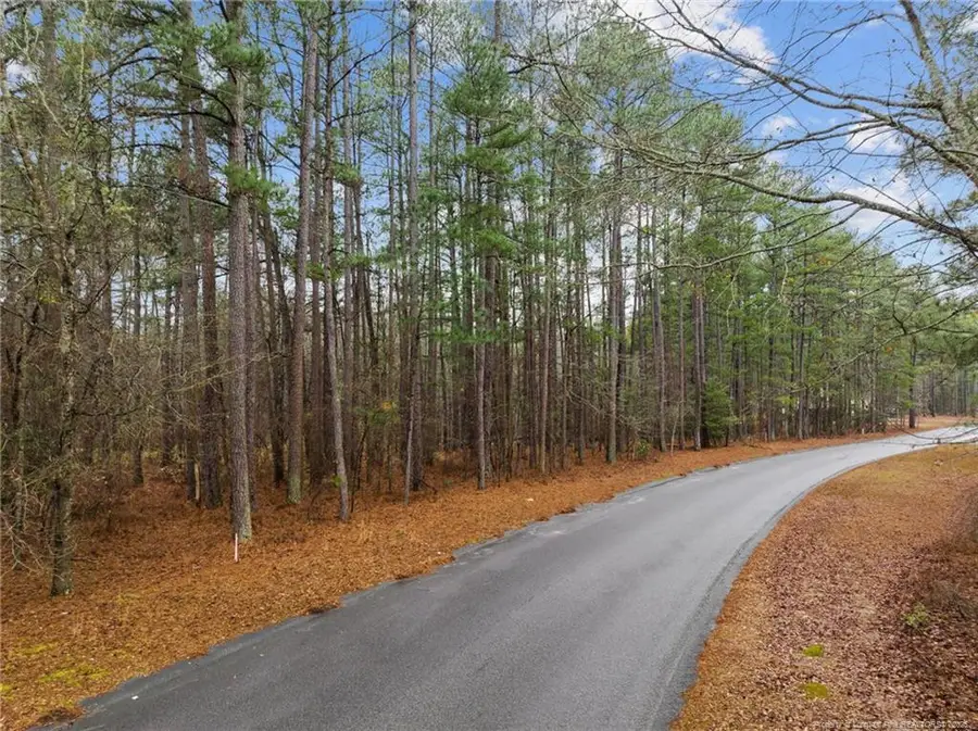 221 Pebble Drive, West End, NC 27376 - #2