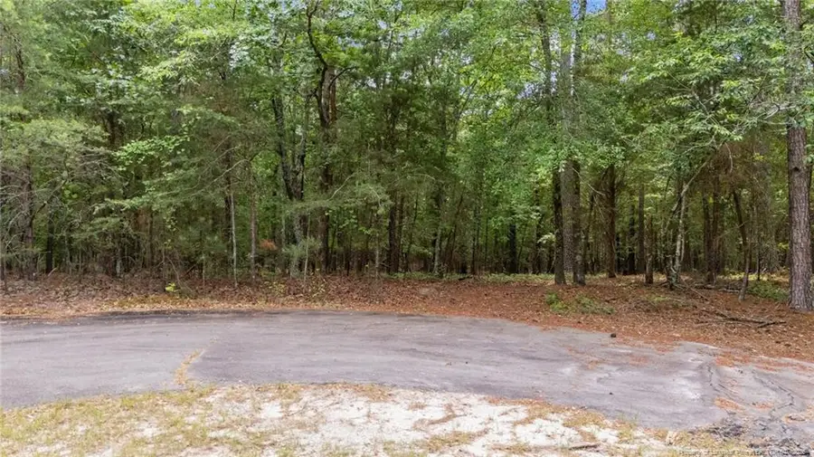 111 Millstone Court, West End, NC 27376 - Image #2