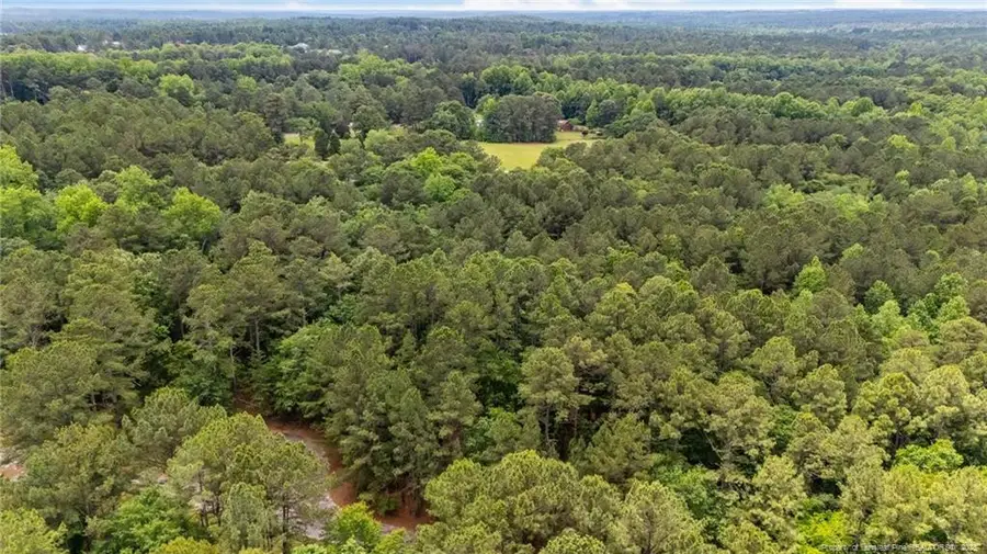 111 Millstone Court, West End, NC 27376 - Image #3