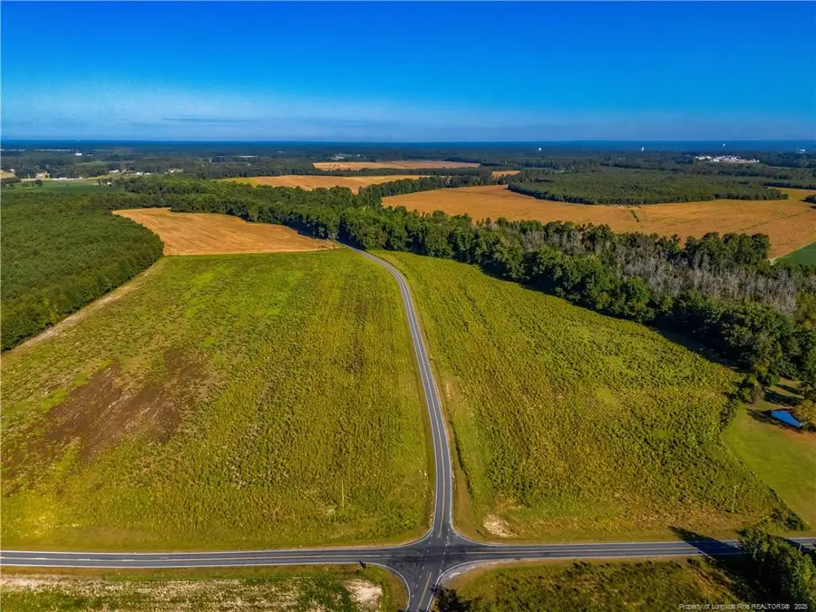 Lot 7 Daniel Mcleod Road, Red Springs, NC 28377 - Image #3