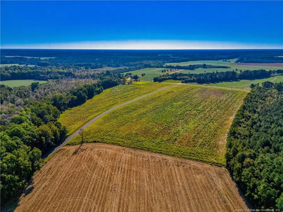 Lot 15 Daniel Mcleod Road, Red Springs, NC 28377 - Image #3