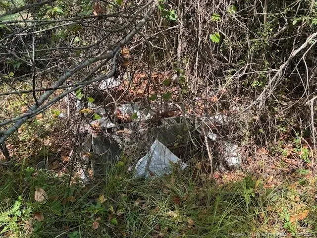 3529 Blossom Road, Fayetteville, NC 28306 - #2