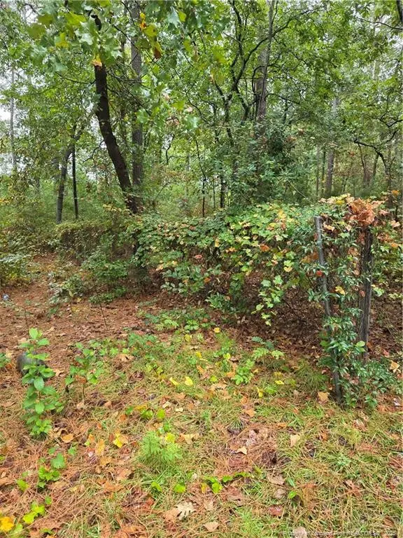 6438 and 6440 Raeford Road, Fayetteville, NC 28304 - #2