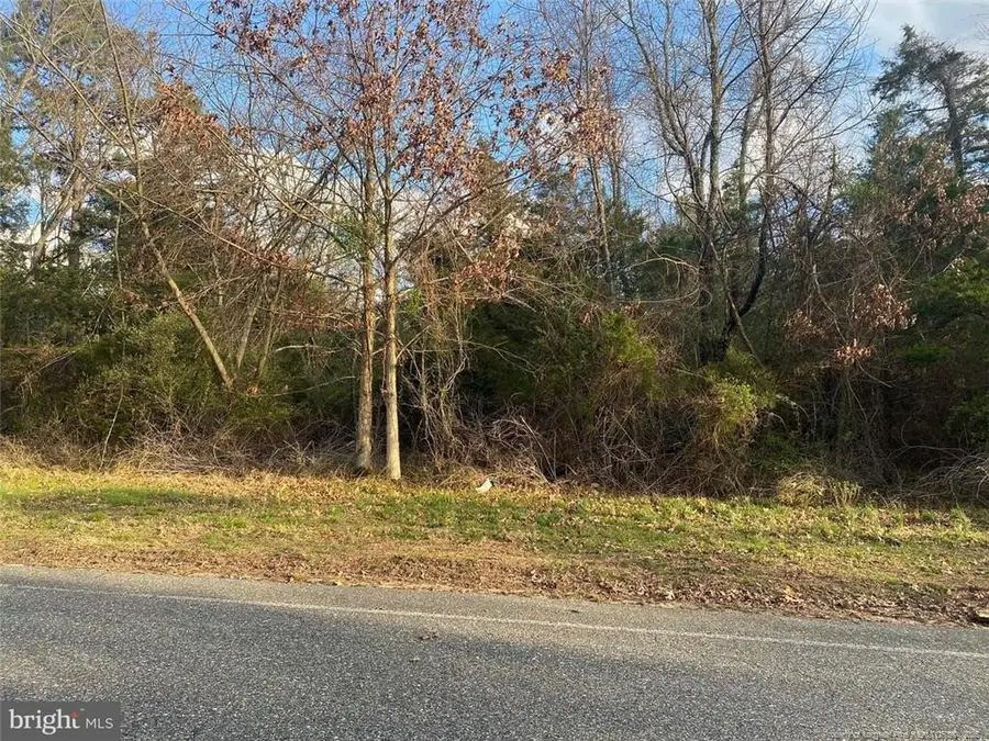 26.5 Acres Mcintyre Land, Fayetteville, NC 28301 - Image #3