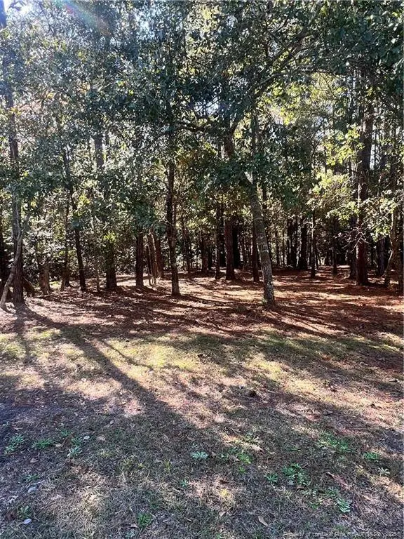 2108 Arnold Palmer Drive, Shallotte, NC 28470 - Image #2