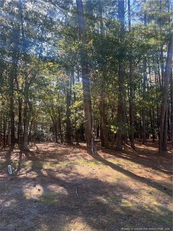 2108 Arnold Palmer Drive, Shallotte, NC 28470 - Image #3