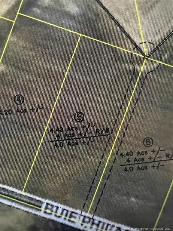 Lot 5 Buie Philadelphus Road, Red Springs, NC 28377