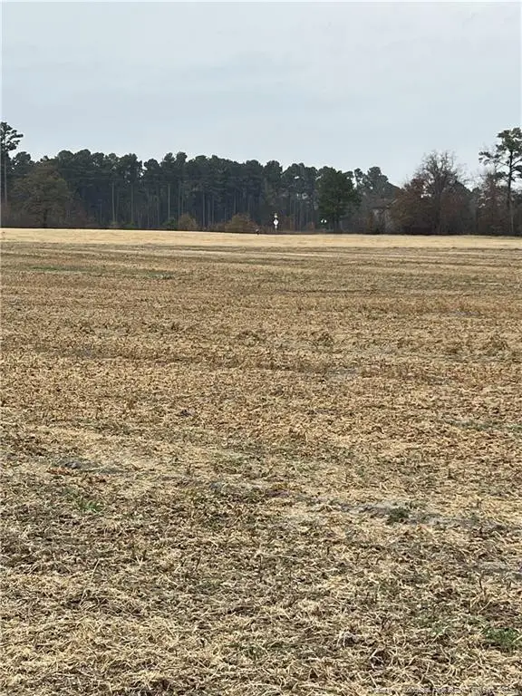 Lot 6 Buie Philadelphus Road, Red Springs, NC 28377 - #3