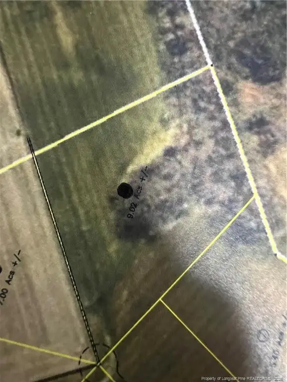 9.02 acres Buie Philadelphus Road, Red Springs, NC 28377