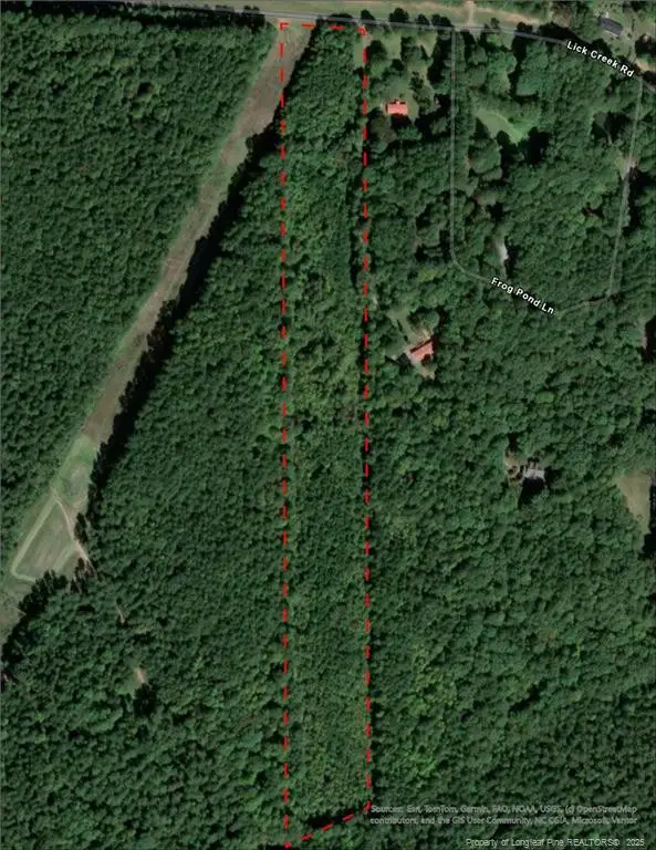 TBD Lick Creek Road, Sanford, NC 27330 - Image #1